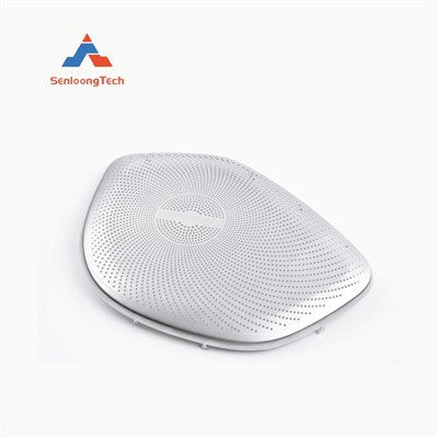 Rozsdamentes hangszóró rács